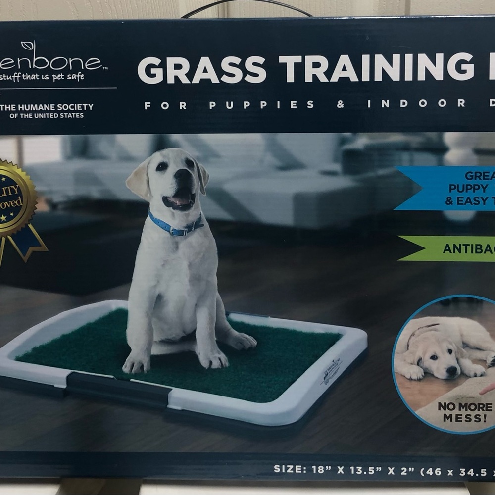 PetSafe Green Housebreaking Training Pad for Dogs